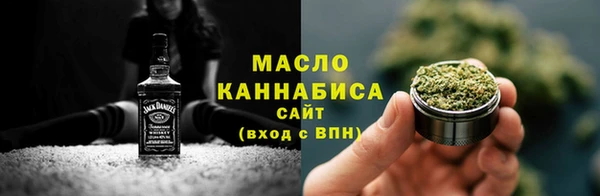 шишки Саяногорск
